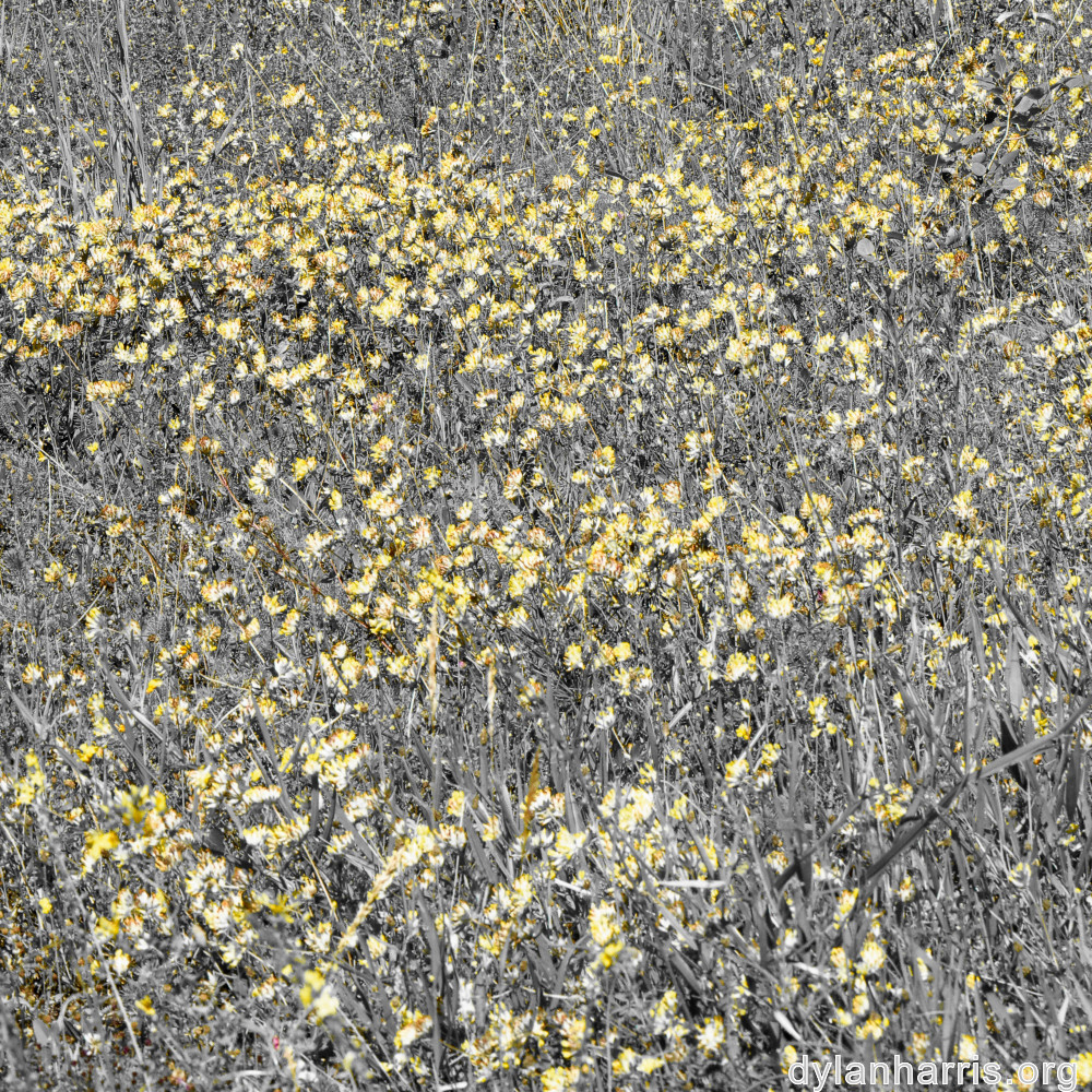 image: This is ‘rumelange 4’.