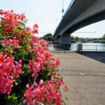 image: Image from the photoset ‘remich (i)’.