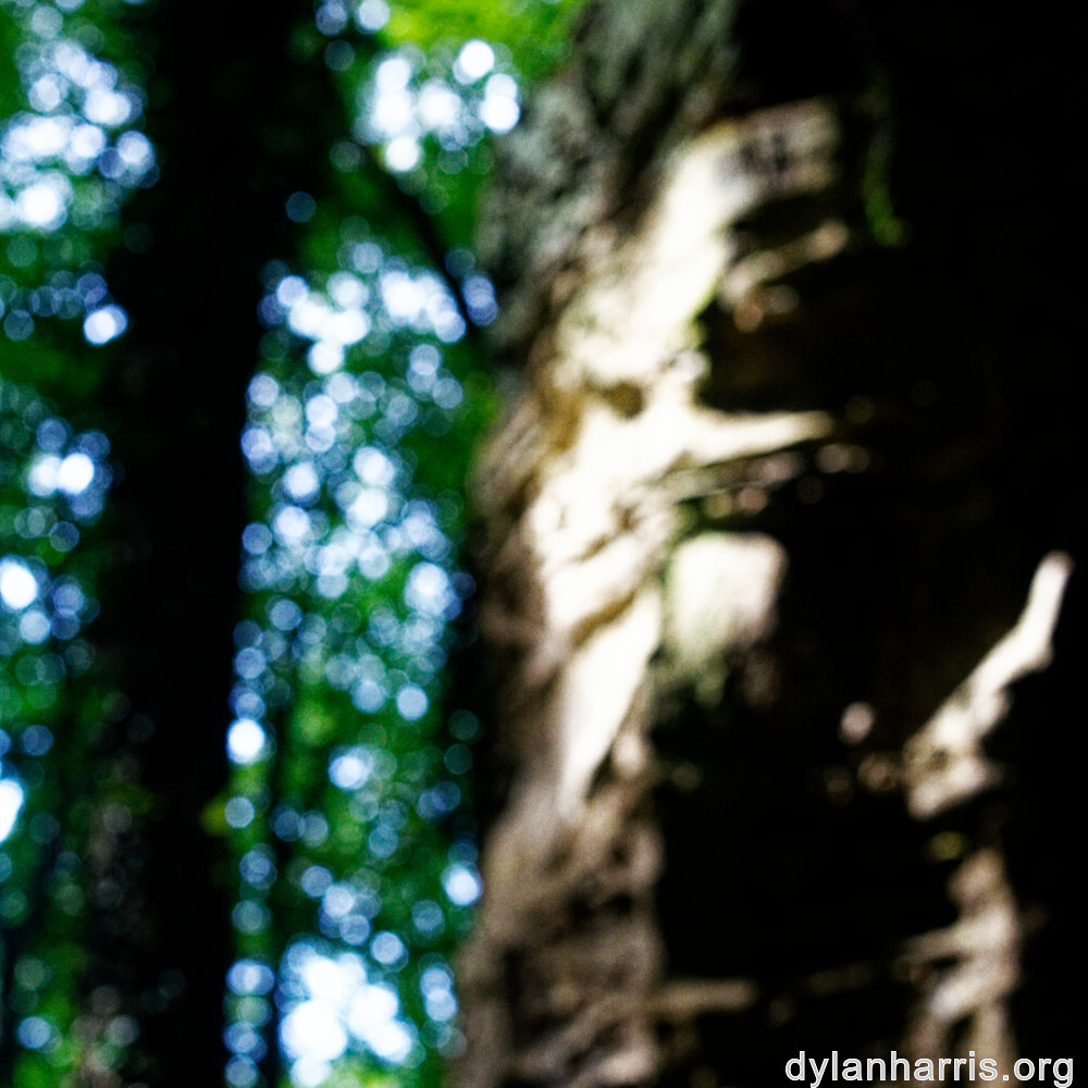 image: This is ‘mullerthal (ii) 1’.