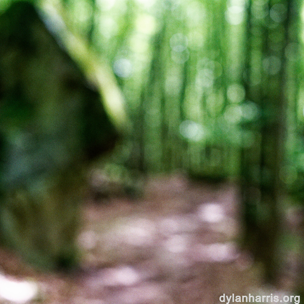 image: This is ‘mullerthal (ii) 2’.