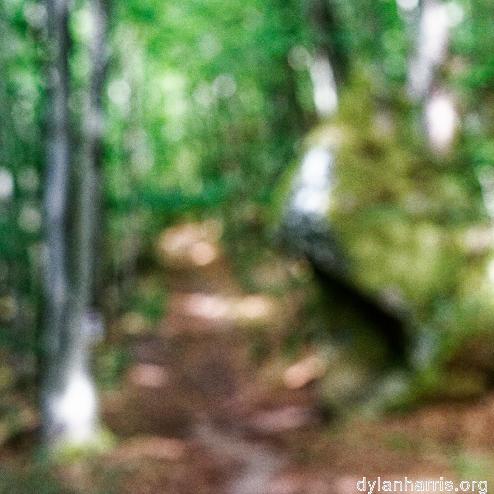 image: This is ‘mullerthal (ii) 3’.