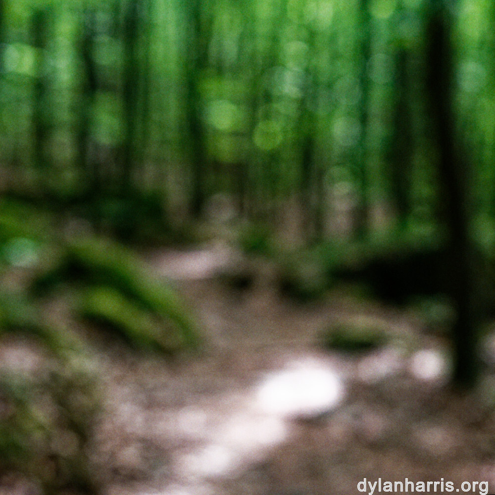 image: This is ‘mullerthal (ii) 4’.