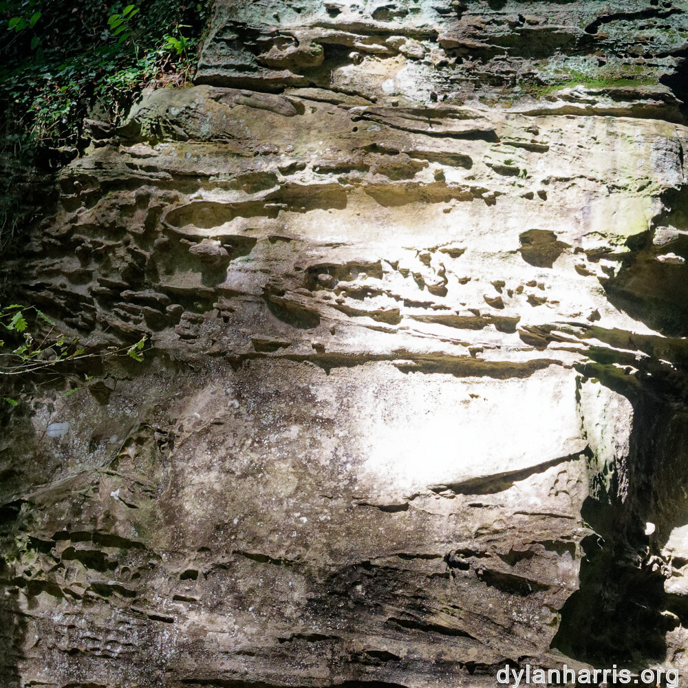 image: This is ‘mullerthal (iii) 2’.