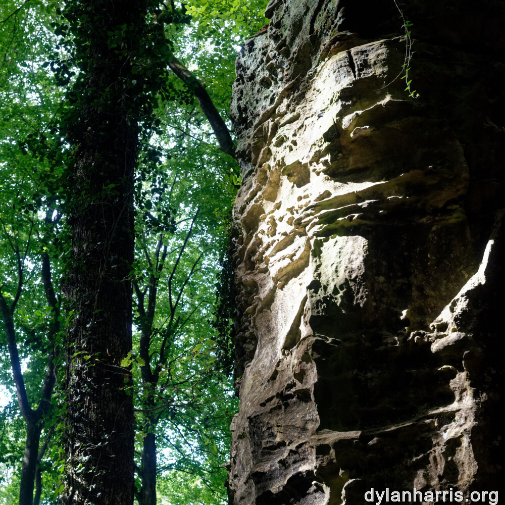 image: This is ‘mullerthal (iii) 3’.
