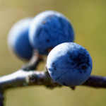image: Image from the photoset ‘rumelange (xvi)’.