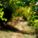 image: Image from the photoset ‘rumelange (xvi)’.