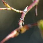 image: Image from the photoset ‘rumelange (xvi)’.