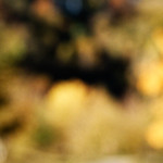 image: Image from the photoset ‘rumelange (xxi)’.