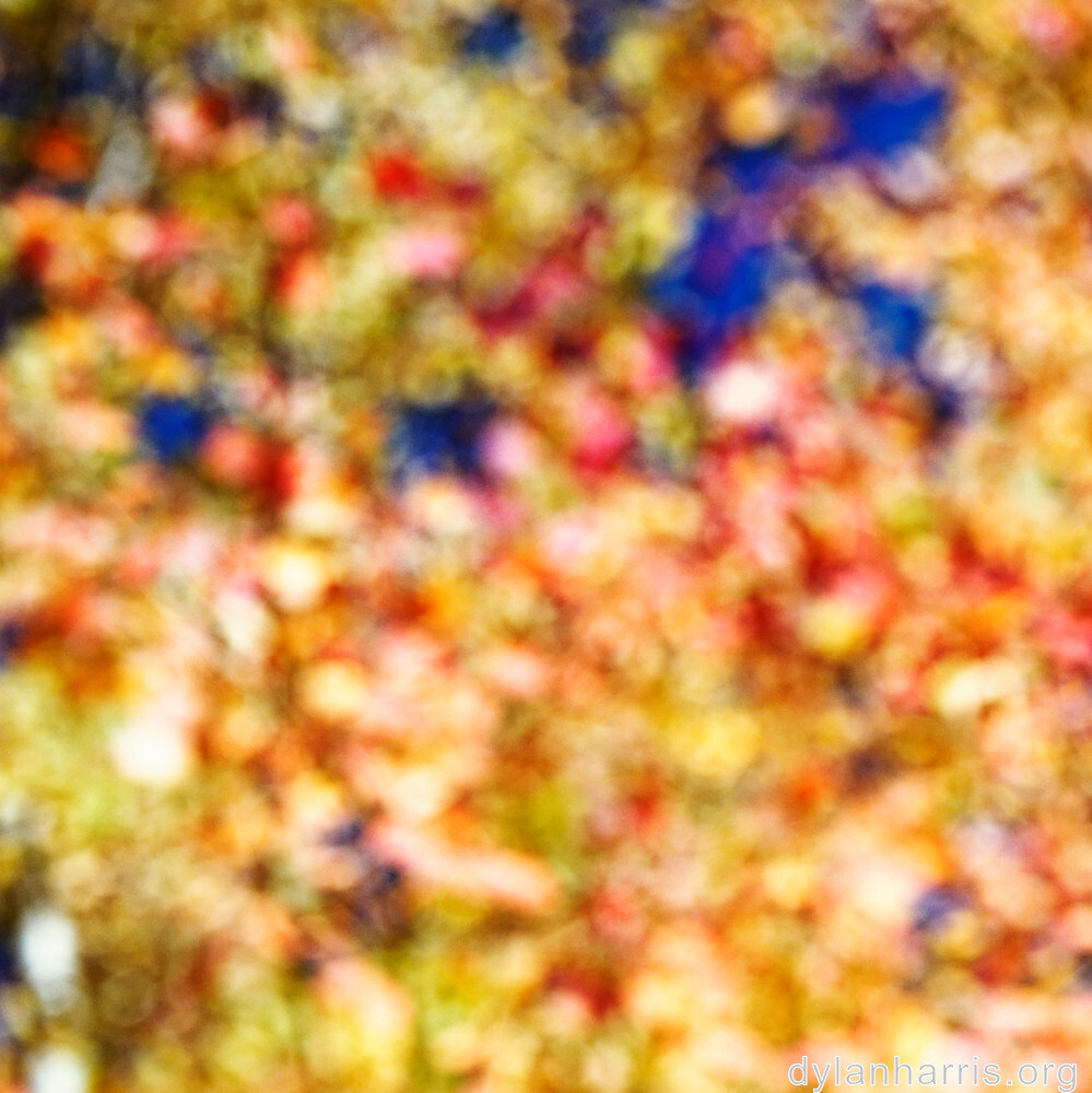 image: This is ‘rumelange 2’.