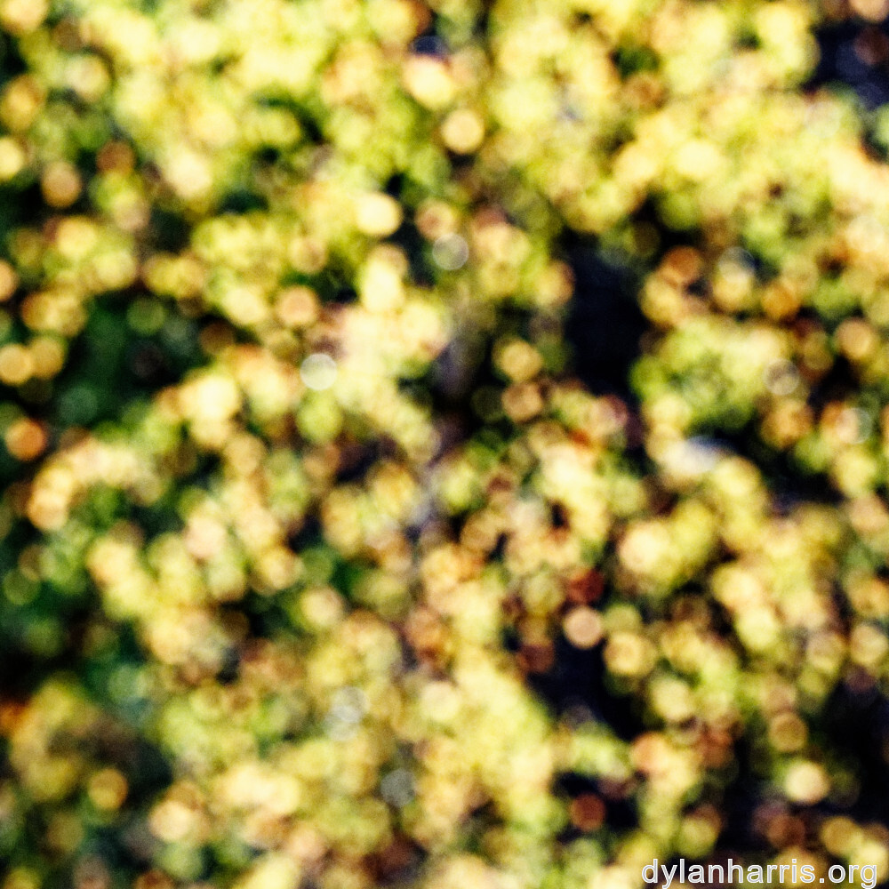 image: This is ‘rumelange 8’.