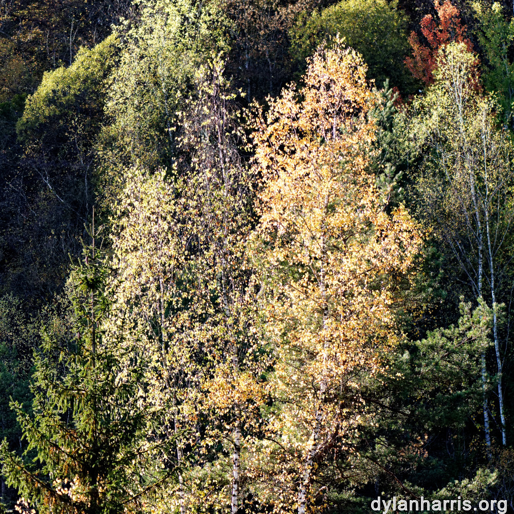 image: This is ‘rumelange 2’.