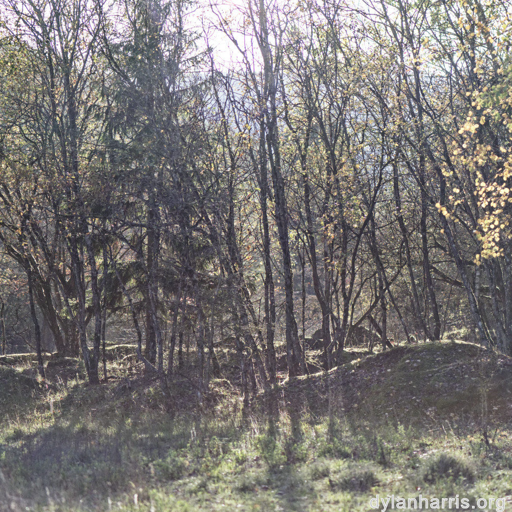 image: This is ‘rumelange 5’.