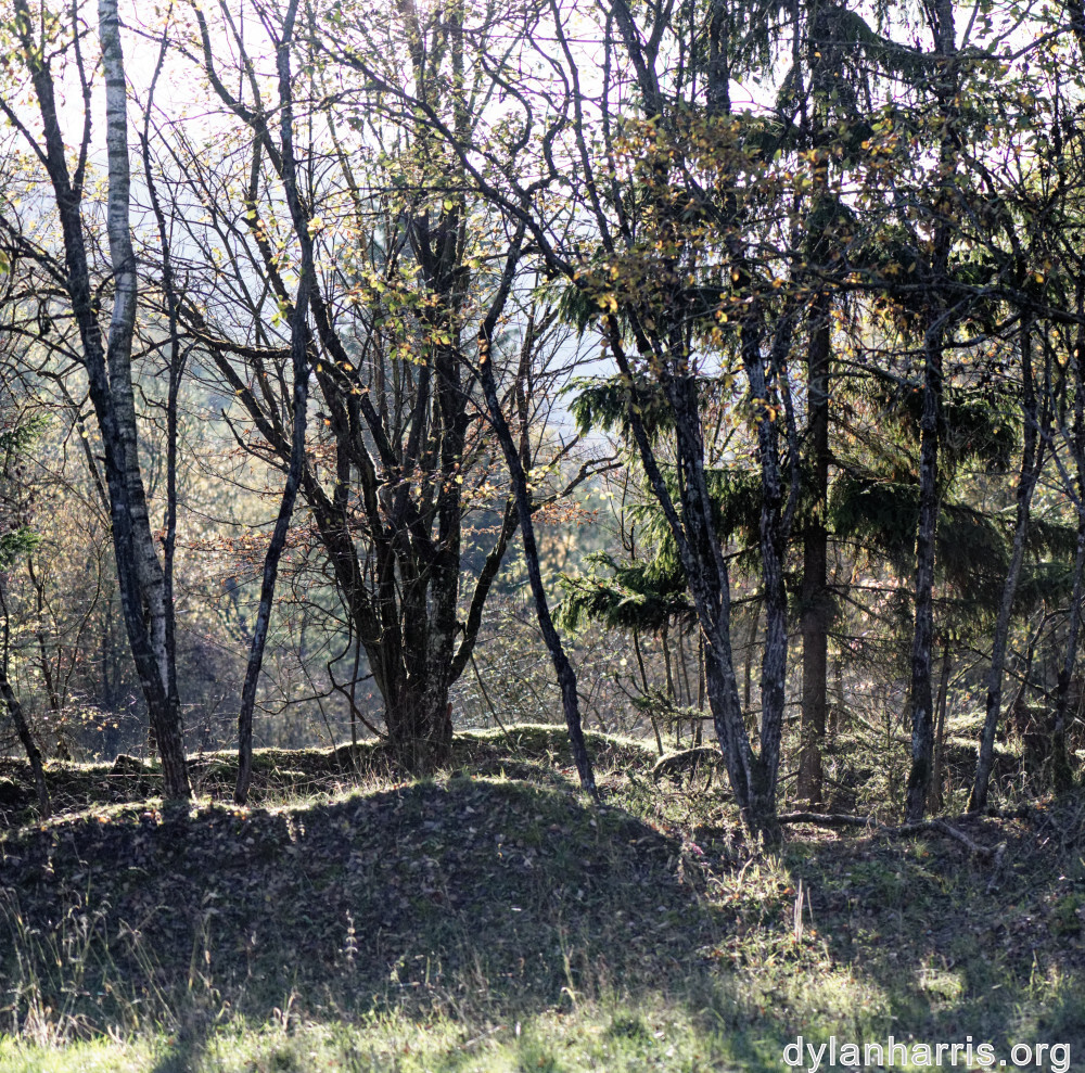 image: This is ‘rumelange 6’.