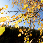 image: Image from the photoset ‘rumelange (xxvii)’.