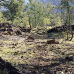 image: Image from the photoset ‘rumelange (xxxi)’.