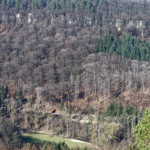 image: Image from the photoset ‘mullerthal (v)’.
