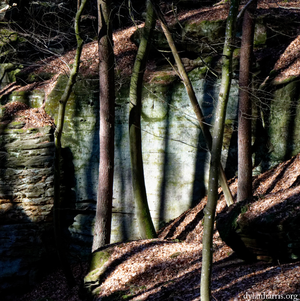 little switzerland wooded hill