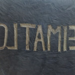 image: Image from the photoset ‘nothing is permament (iv)’.
