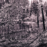 image: Image from the photoset ‘terres rouges (xxiv)’.