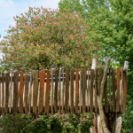 image: Image from the photoset ‘esch/uelzecht (xliv)’.