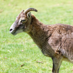 image: Image from the photoset ‘esch/uelzecht (xliv)’.