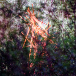 image: Image from the photoset ‘terres rouges (xxv)’.