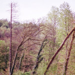 image: Image from the photoset ‘terres rouges (xxv)’.