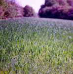 image: Image from the photoset ‘terres rouges (xxv)’.