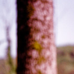 image: terres rouges (xxviii) photoset