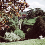 image: Image from the photoset ‘paris (xxi)’.