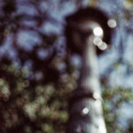image: Image from the photoset ‘paris (xxi)’.