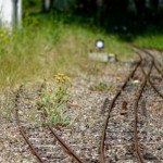 image: Image from the photoset ‘esch/uelzecht (xlvi)’.