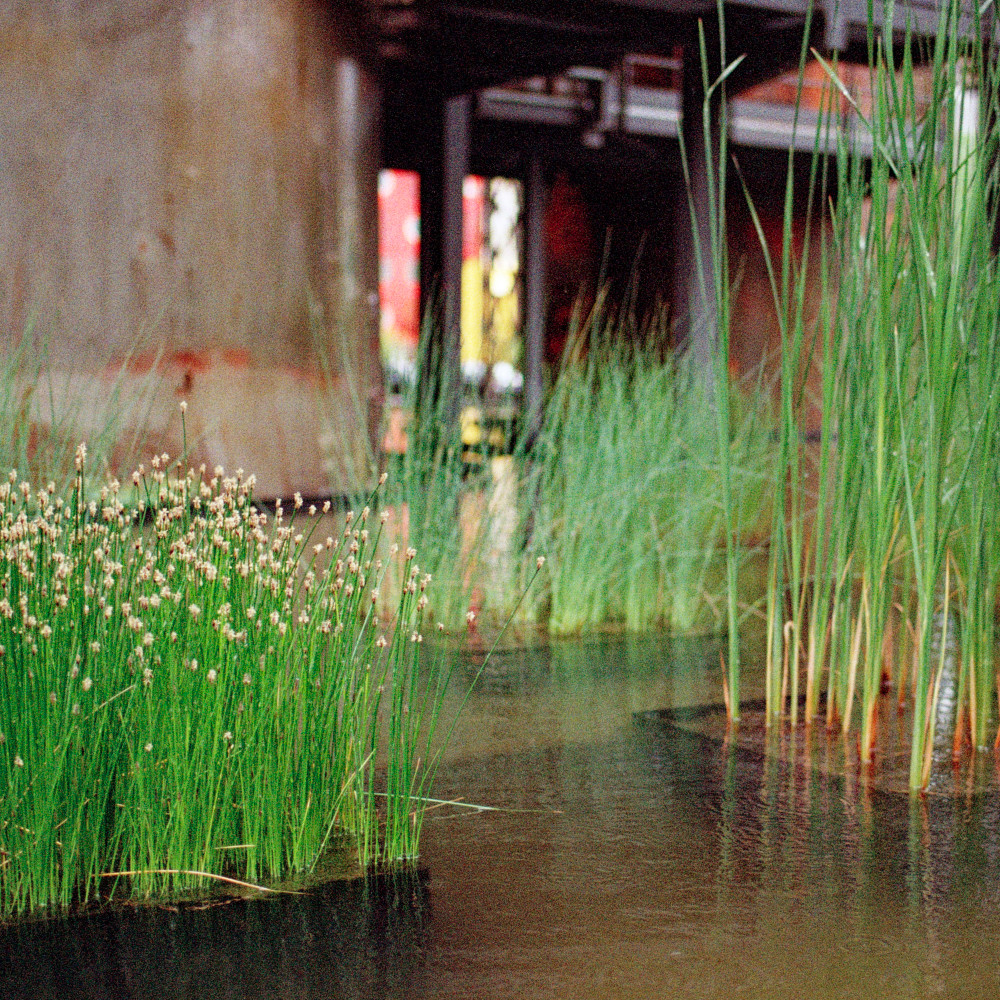 image: This is ‘esch/uelzecht (xlvii) 2’.