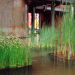 image: Image from the photoset ‘esch/uelzecht (xlvii)’.
