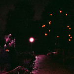 image: Image from the photoset ‘christmas lights (i)’.