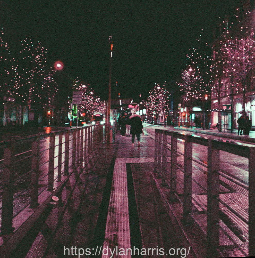 image: This is ‘christmas lights (ii) 1’.