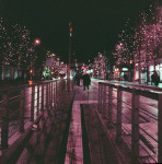 image: Image from the photoset ‘christmas lights (ii)’.