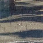 image: Image from the photoset ‘esch/uelzecht (liv)’.