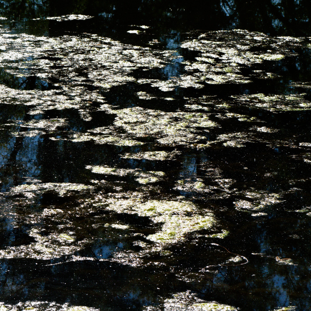 image: This is ‘
echternach (i) 1
’.