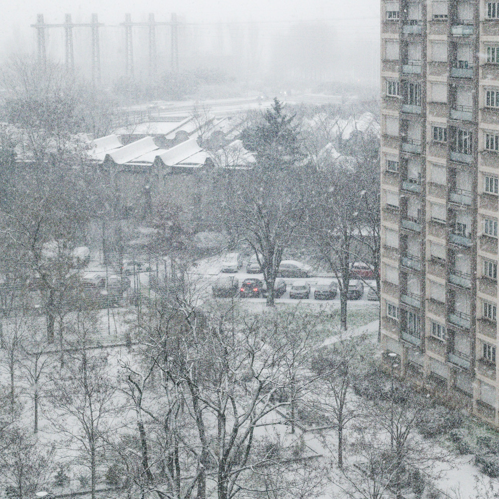 image: This is &lsquo;paris (xxiv) 2&rsquo;.