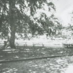 image: Image from the photoset &lsquo;esch/uelzecht (lxix)&rsquo;.
