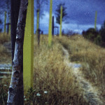 image: ut&ndash;of&ndash;date
