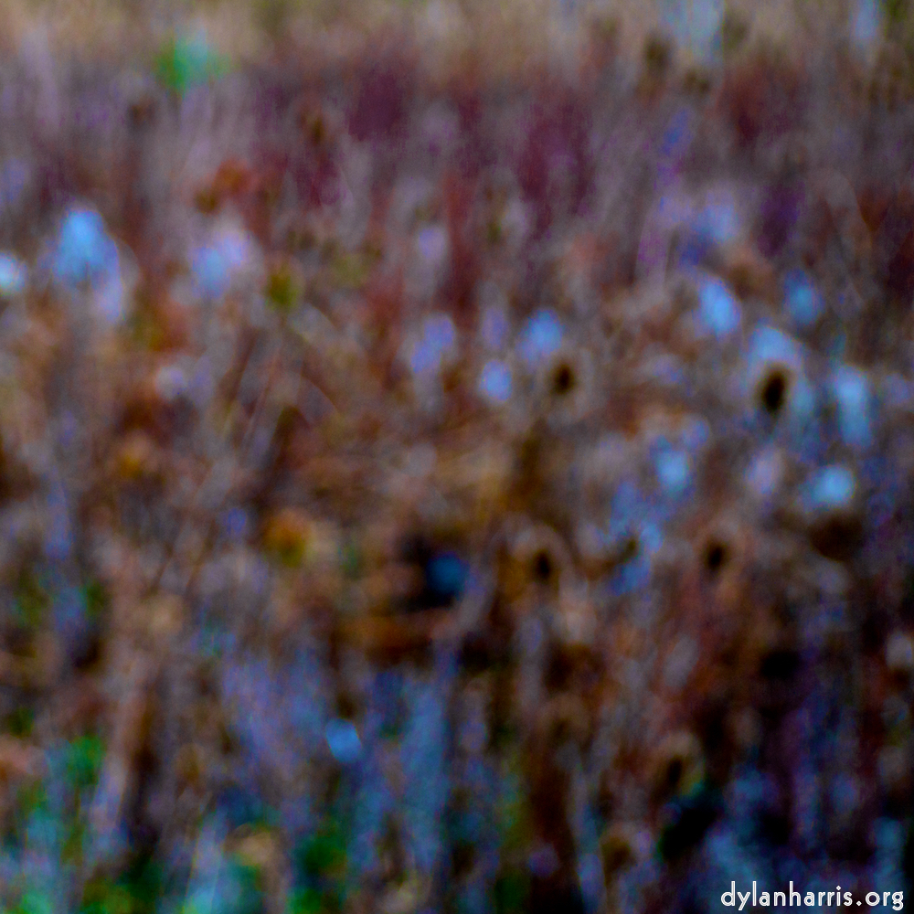 Image: Image 'stanwick (ii) 6'.