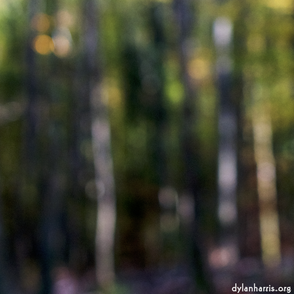 Image: Image 'wood (xviii) 2'