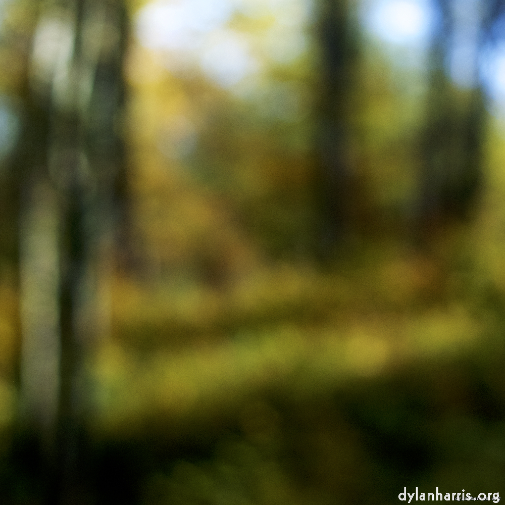 Image 'wood (xix) 7'.