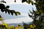 Image: Third image from the photoset 'zürich (i)'.