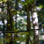 First image from the photoset 'zürich (ii)'.