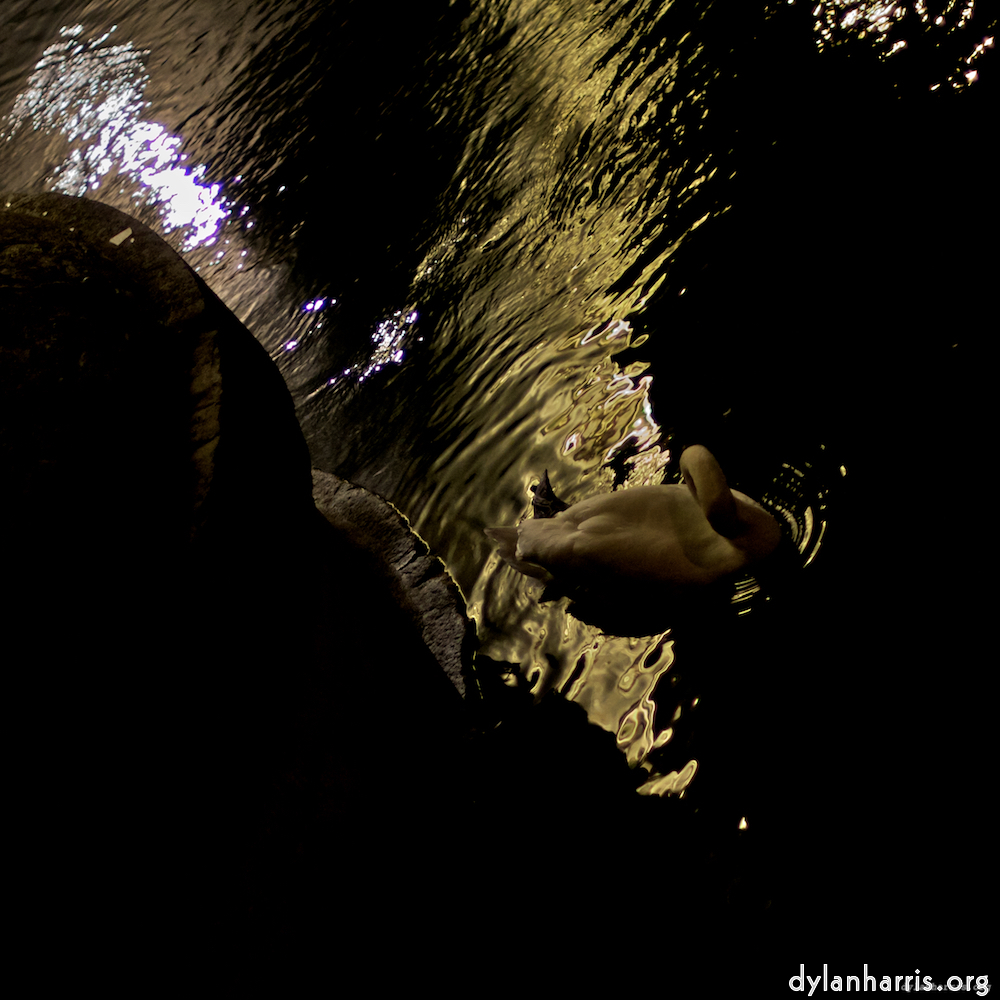 Image 'zürich (iii) 3'.