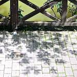 Image: Fourth image from the photoset 'konscht am gronn (iii)'.