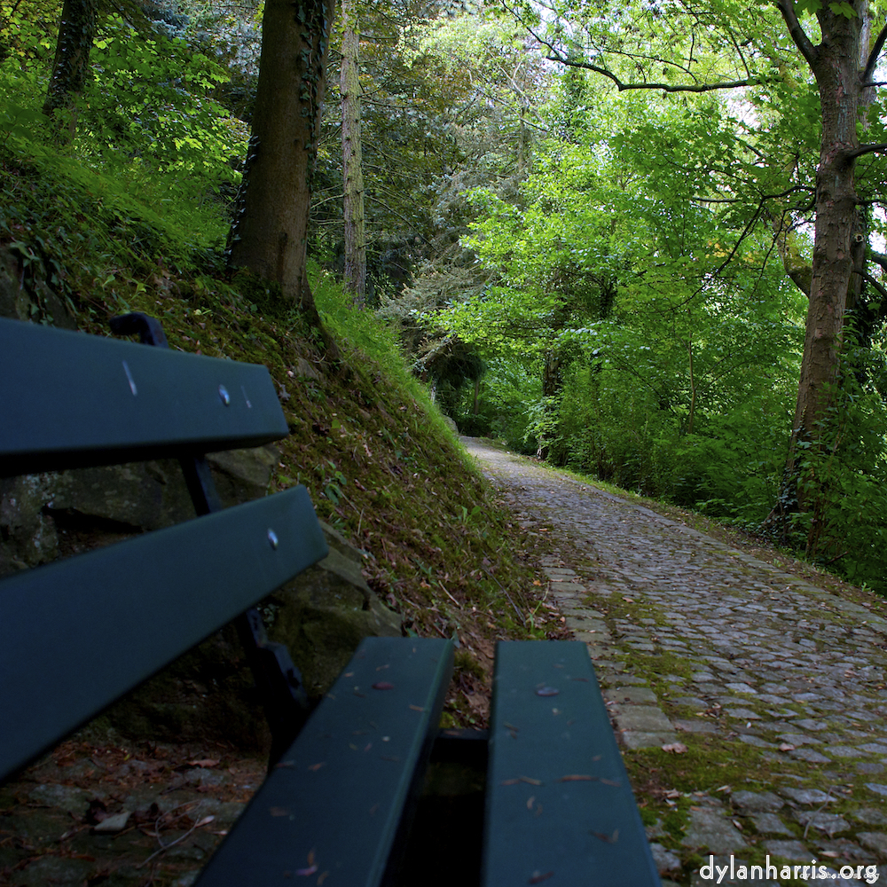 Image: Image 'parc (ix) 1'.